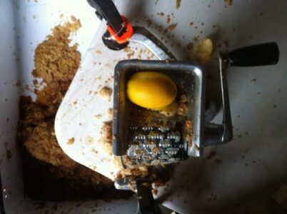 How to Extract Seeds Image